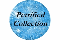 Clic here to see the "Petrified" collection