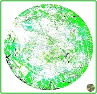 Petrified nr. 03 - Green over White
