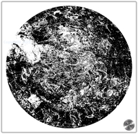 Petrified nr. 04 - Monochrome over White