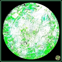 Petrified nr. 08 - Green over Black