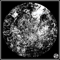 Petrified nr. 09 - Monochrome over Black