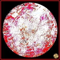 Petrified nr. 10 - Red over Black