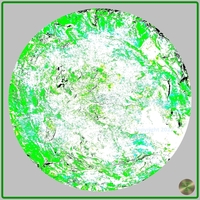 Petrified nr. 13 - Green over Grey