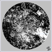 Petrified nr. 14 - Monochrome over Grey