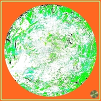 Petrified nr. 18 - Green over Orange