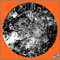 Petrified nr. 19 - Monochrome over Orange
