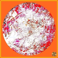 Petrified nr. 20 - Red over Orange