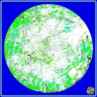 Petrified nr. 23 - Green over Blue