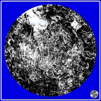 Petrified nr. 24 - Monochrome Blue