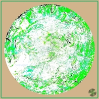 Petrified nr. 28 - Green over Tan