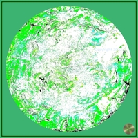 Petrified nr. 33 - Green over Green