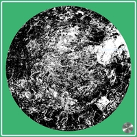 Petrified nr. 34 - Monochrome over Green
