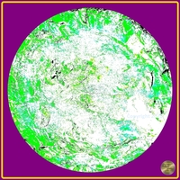 Petrified nr. 38 - Green over Violet
