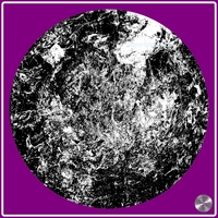 Petrified nr. 39 - Monochrome over Violet