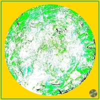 Petrified nr. 43 - Green over Gold