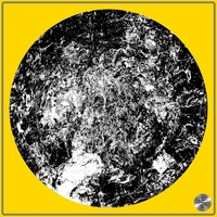 Petrified nr. 44 - Monochrome over Gold