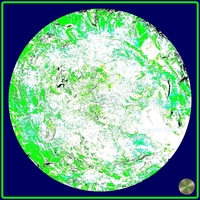 Petrified nr. 48 - Green over Dark Teal