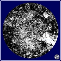 Petrified nr. 49 - Monochrome over Dark Teal