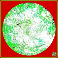 Petrified nr. 53 - Green over Red