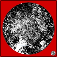 Petrified nr. 54 - Monochrome over Red